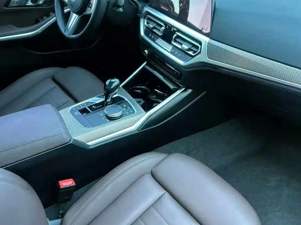 BMW 3 Series 3 2020 325Li M Sport