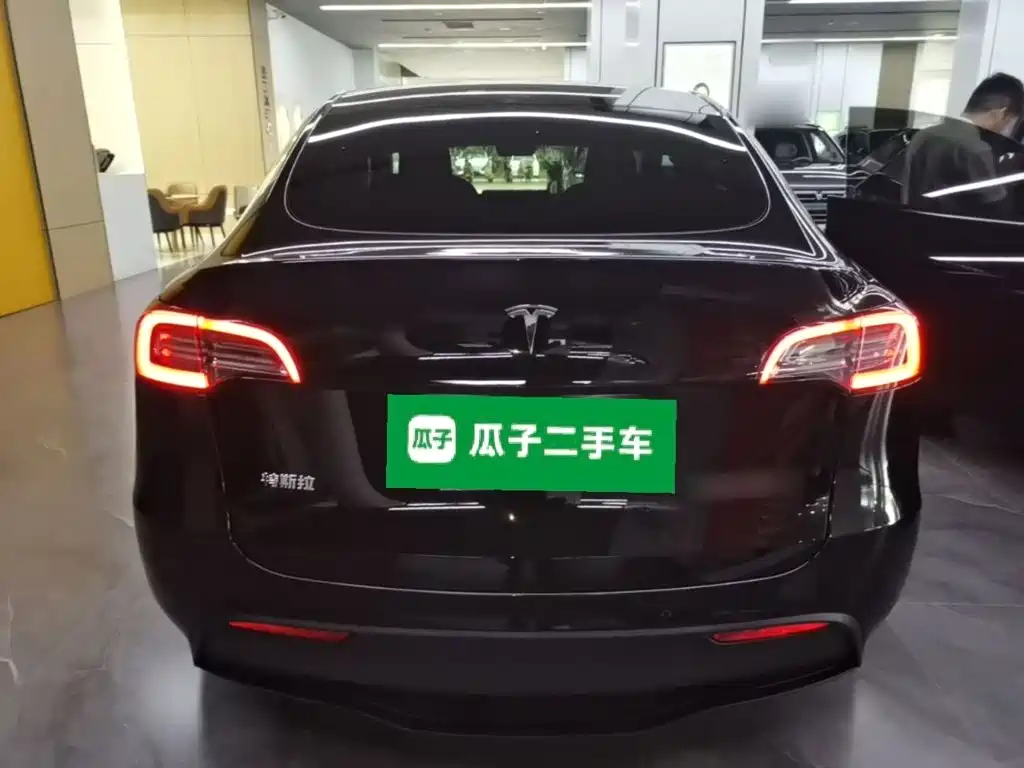 Tesla Model Y — миниатюра 6