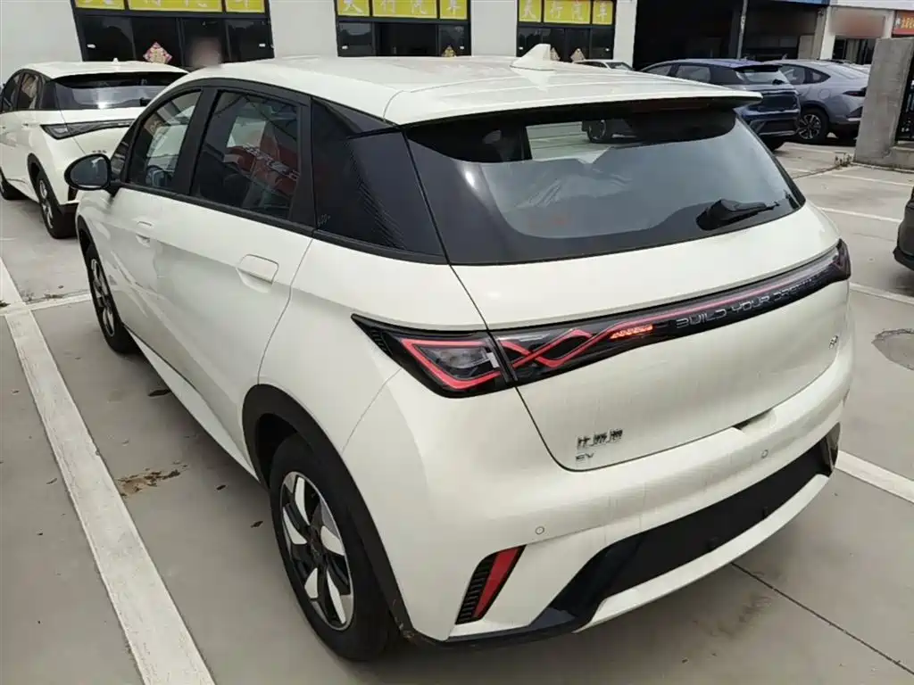 BYD Dolphin 2025 420km Freedom