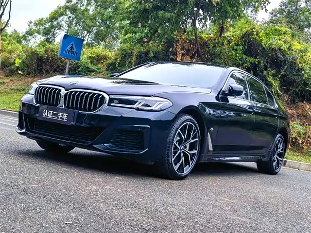 BMW 5 SERIES