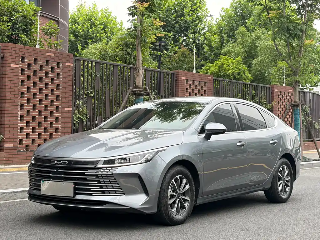 BYD Destroyer 05 2024