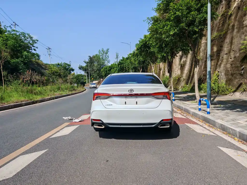 Toyota Avalon 2019 2.0L Luxury VI