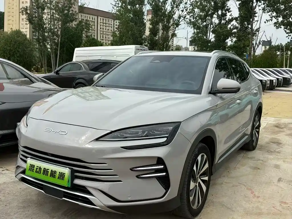 Byd PLUS New Energy 2024