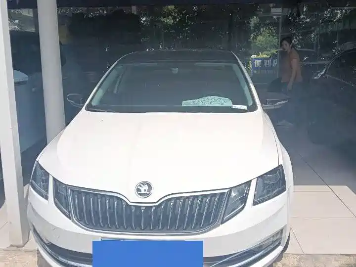 Skoda Octavia 2019 TSI280 DSG Luxury VI