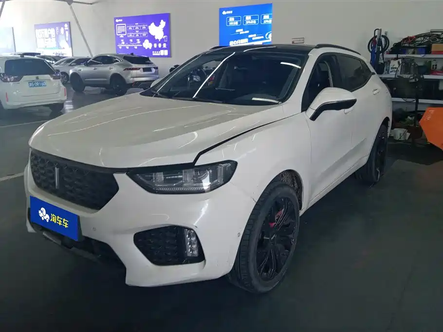 Купить Wey Wey VV5