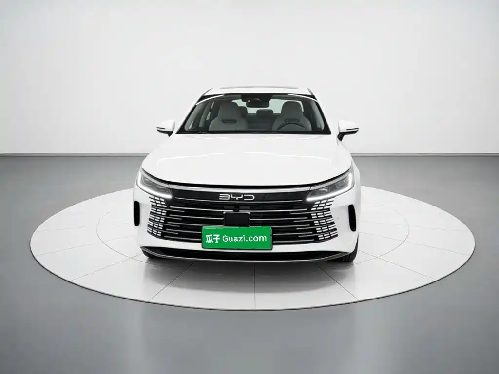 BYD Destroyer 05 — миниатюра 2