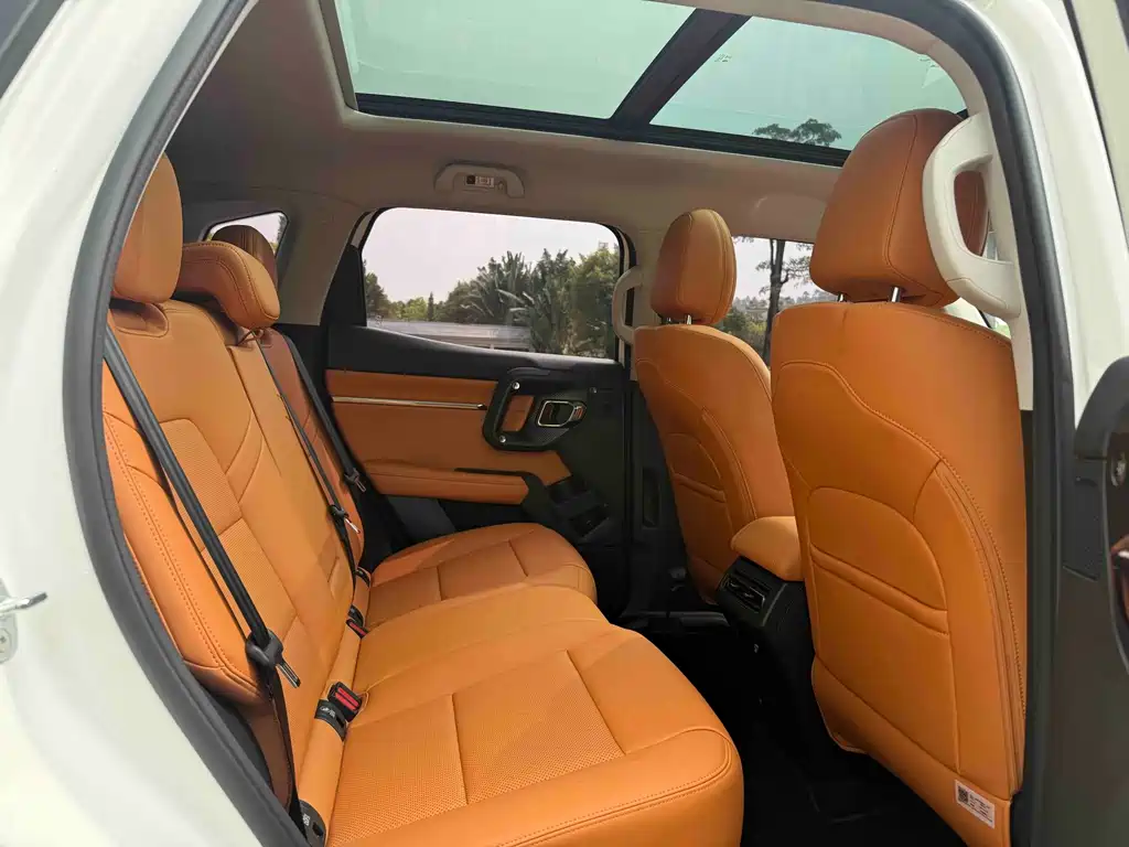 Haval Big Dog PLUS — миниатюра 6
