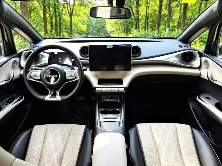 BYD Dolphin — миниатюра 8