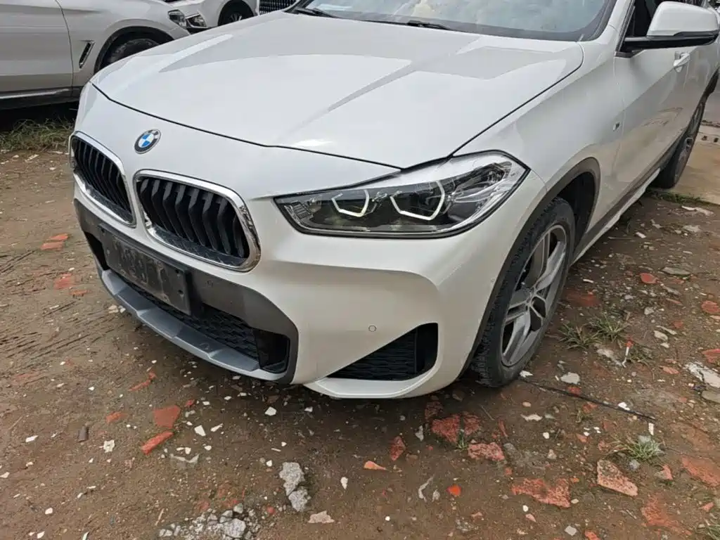 BMW X2 — миниатюра 24