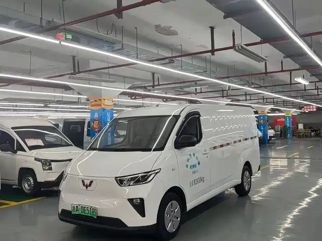 2024 Wuling Motors Yangguang