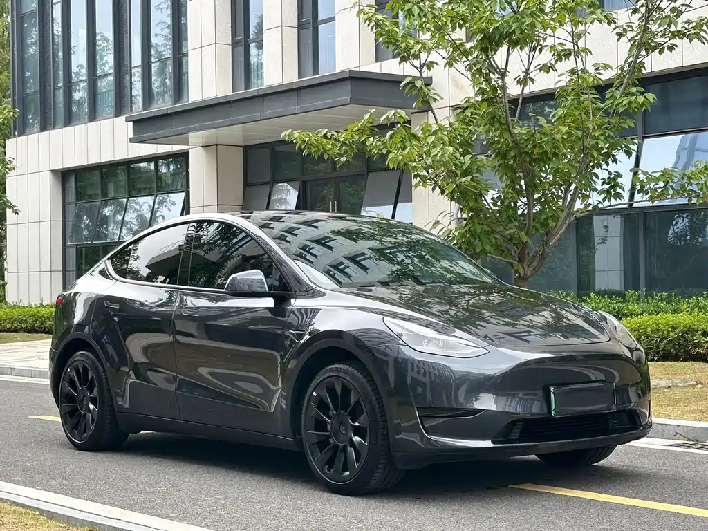 Tesla Model Y — миниатюра 3
