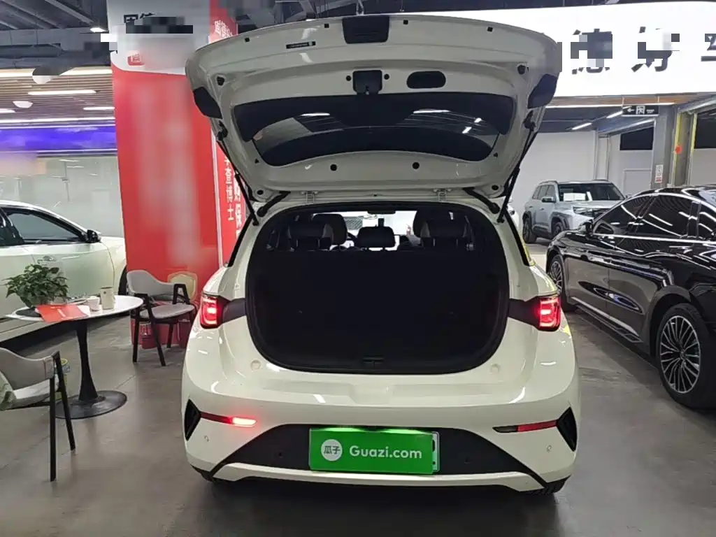 BYD Dolphin — миниатюра 19