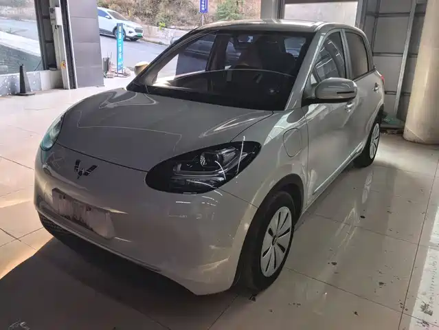 Wuling Bingo