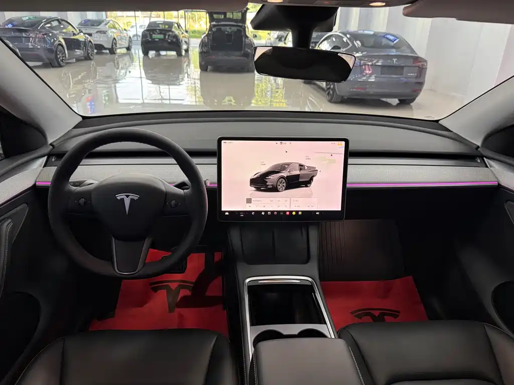 Tesla Model Y — миниатюра 7
