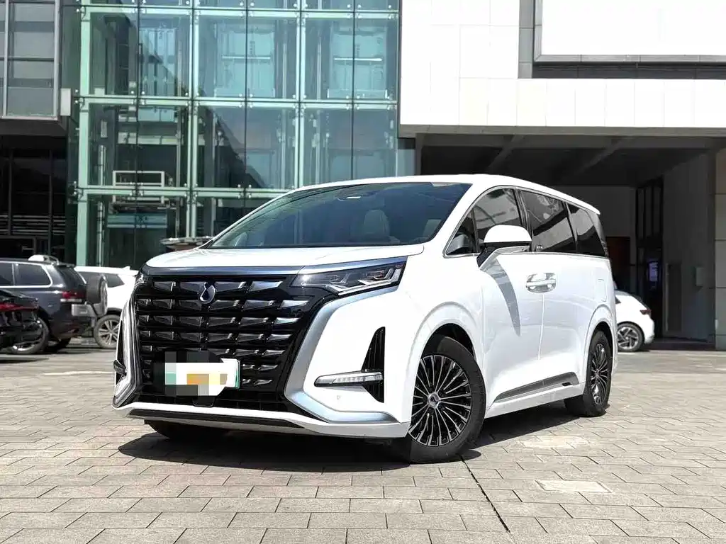 2024 Denza D9 - zdjęcie 1 z 10
