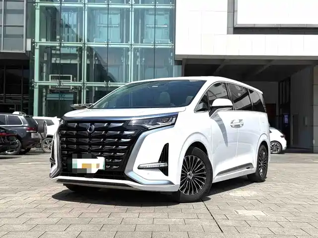 2024 Denza D9