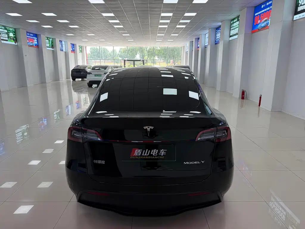 Tesla Model Y — миниатюра 5