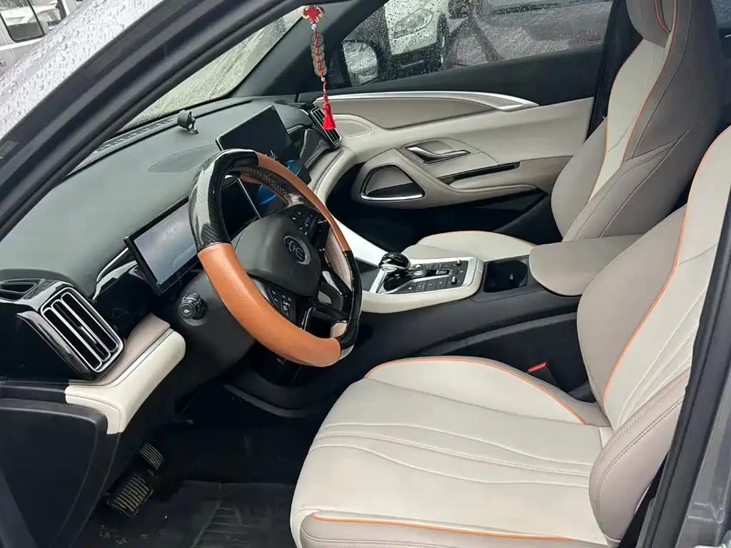 BYD Pro New Energy — миниатюра 4