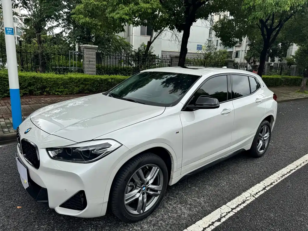 BMW X2 — миниатюра 2