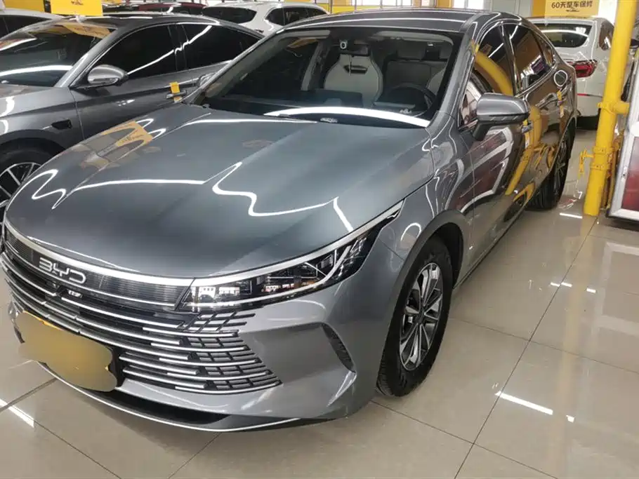 BYD Destroyer 05 2024