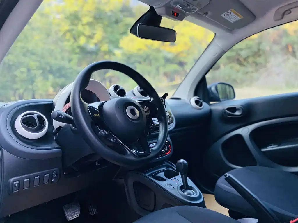 smart Smart Fortwo — миниатюра 11