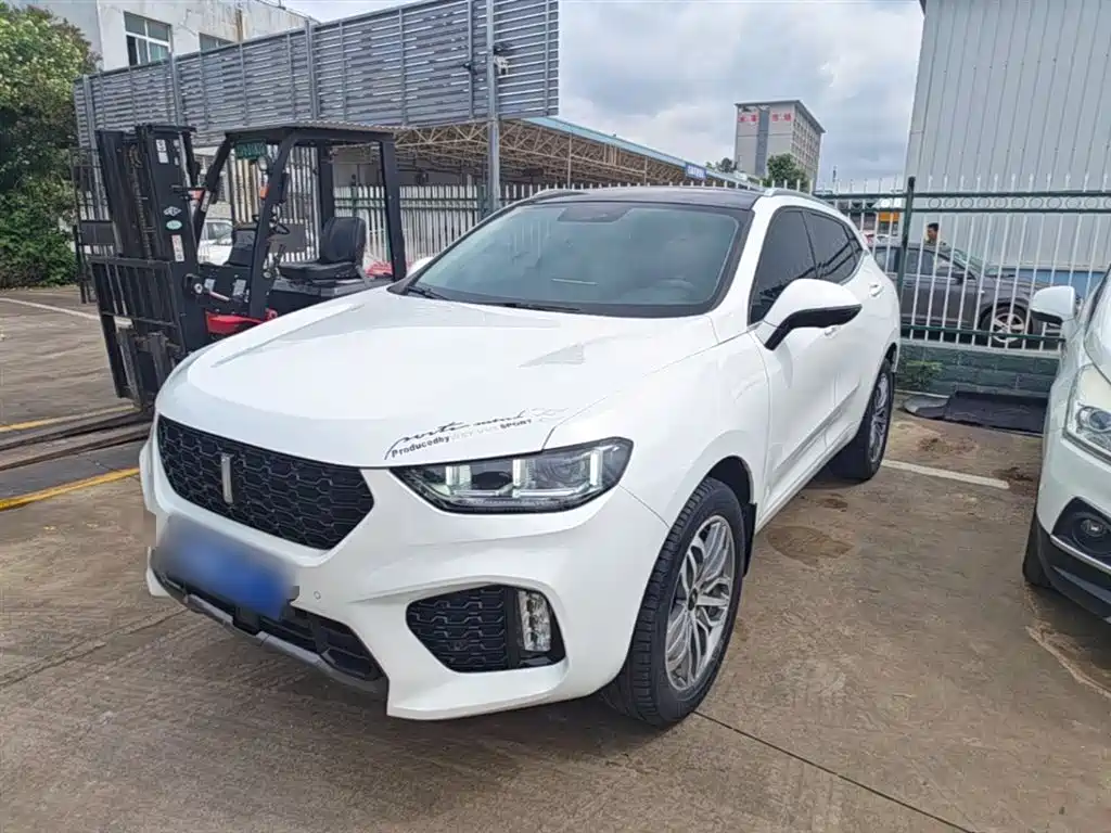 Wey Wey VV5 2019