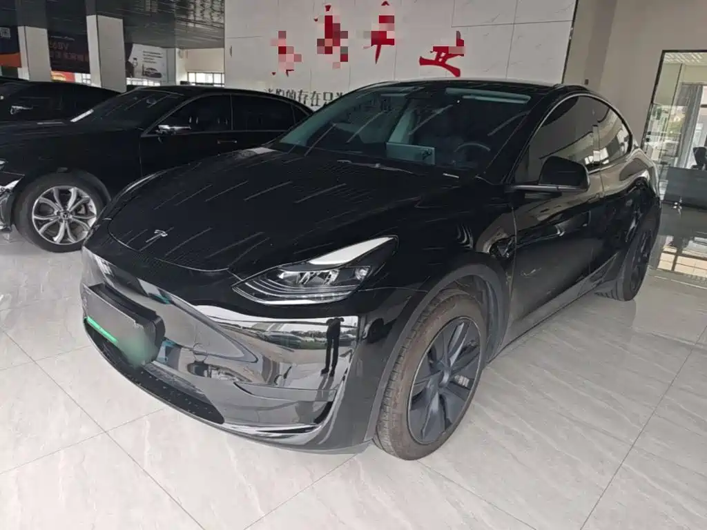 Tesla Model Y — миниатюра 2
