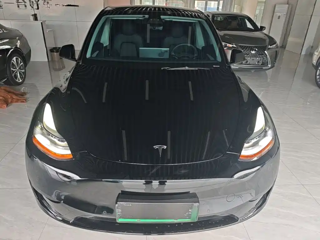 Tesla Model Y — миниатюра 3
