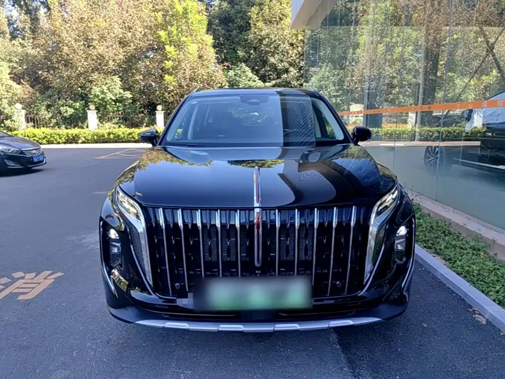 Hongqi Hongqi HS7 PHEV — миниатюра 3