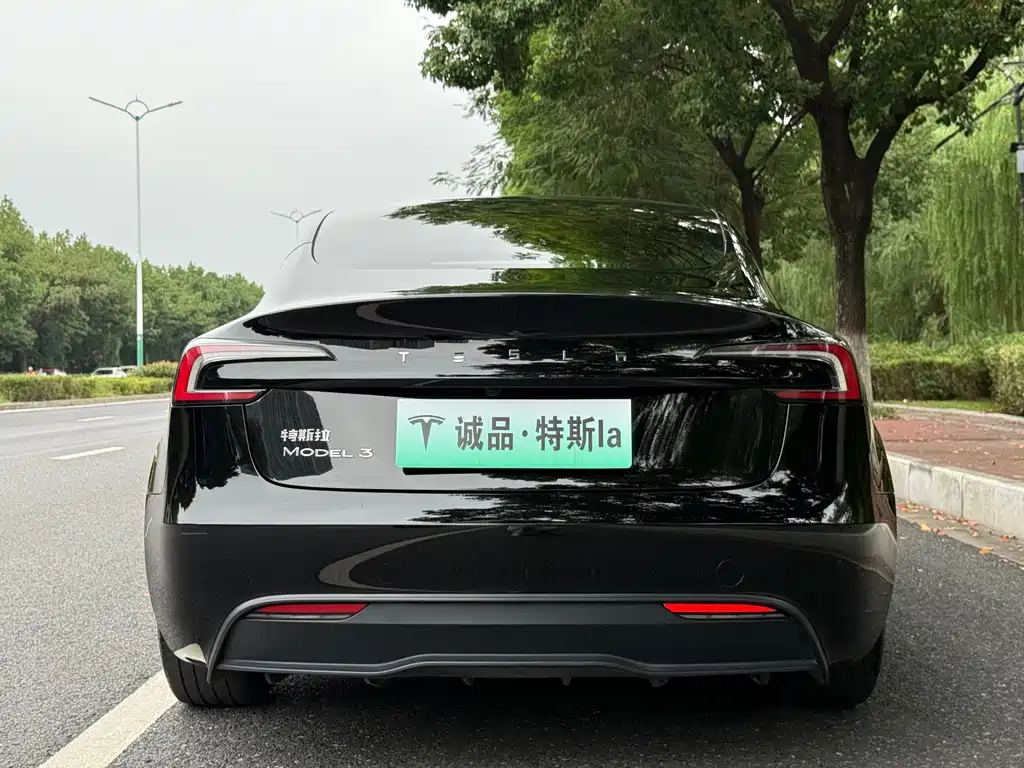Tesla Model 3 — миниатюра 4