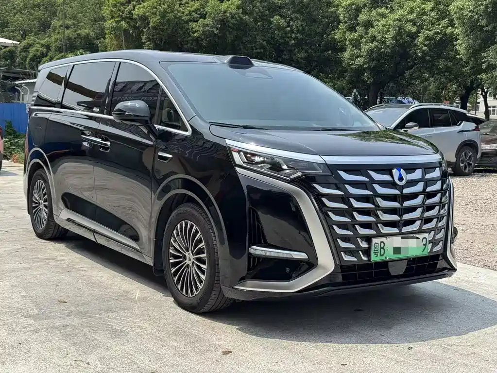 Denza Denza D9 — миниатюра 3