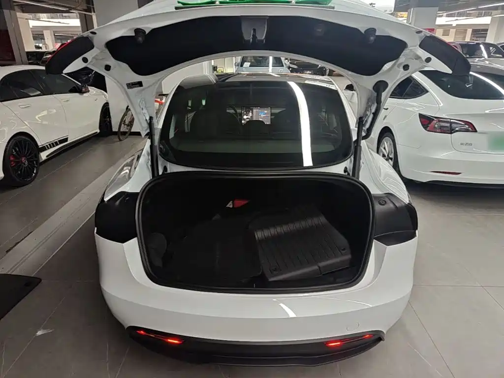 Tesla Model 3 — миниатюра 19