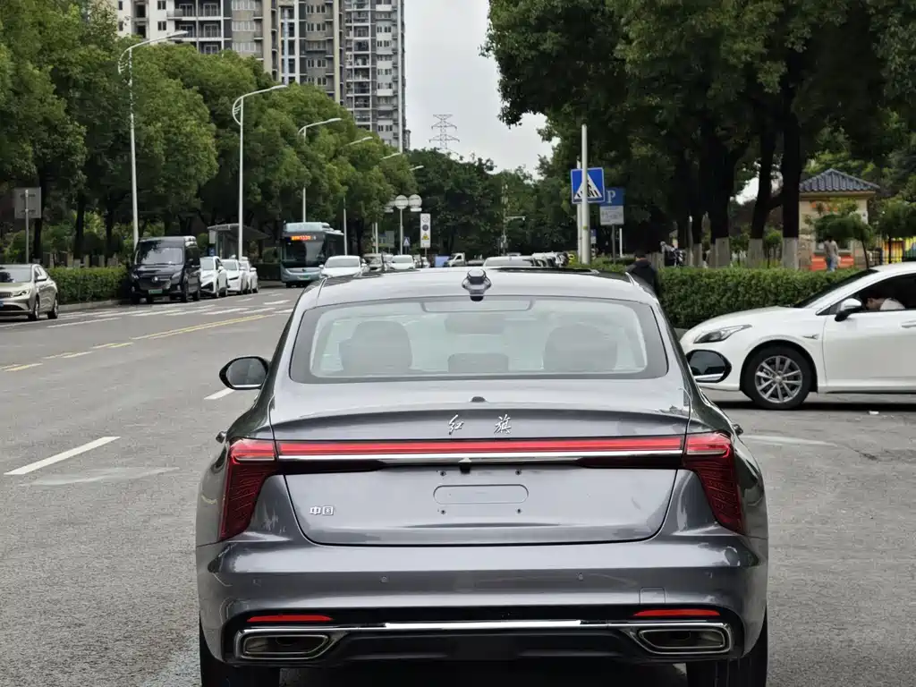 Hongqi H5 2023 2.0T AT