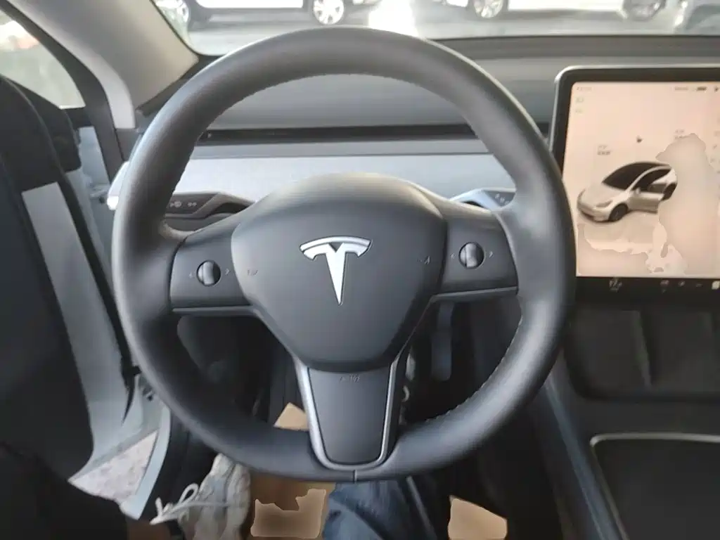 Tesla Model Y — миниатюра 11