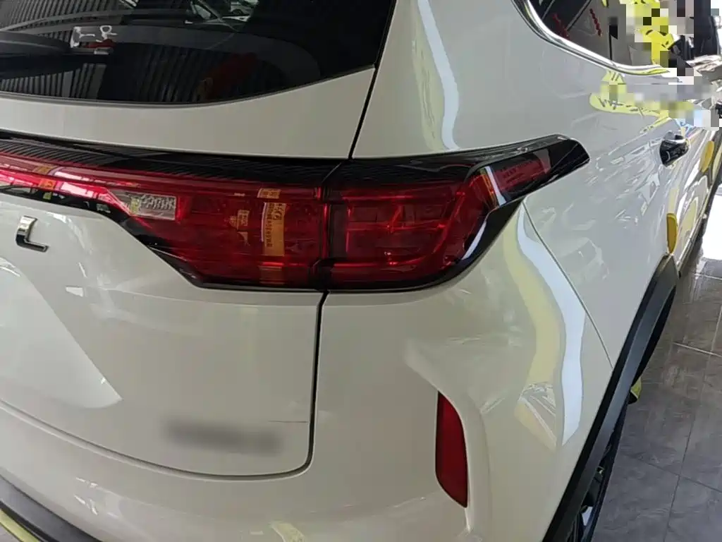 Haval Chitu — миниатюра 8
