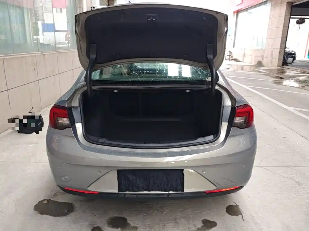 Buick Regal — миниатюра 19