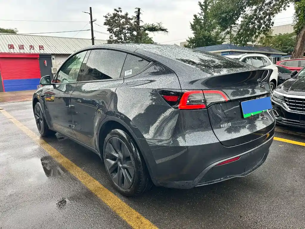 Tesla Model Y — миниатюра 15