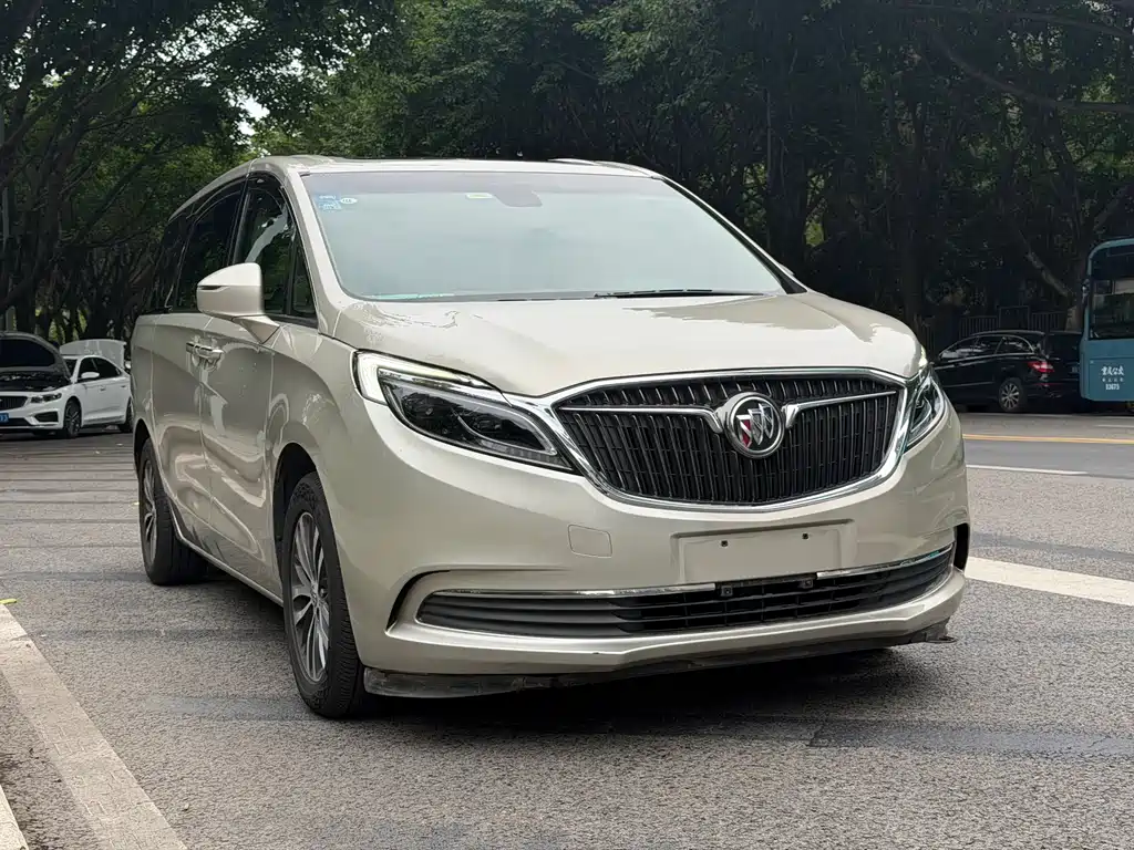 Buick GL8 — миниатюра 6
