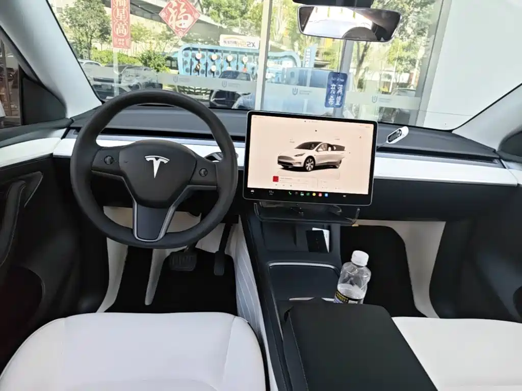 Tesla Model Y — миниатюра 13