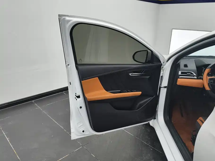 BYD e2 — миниатюра 7