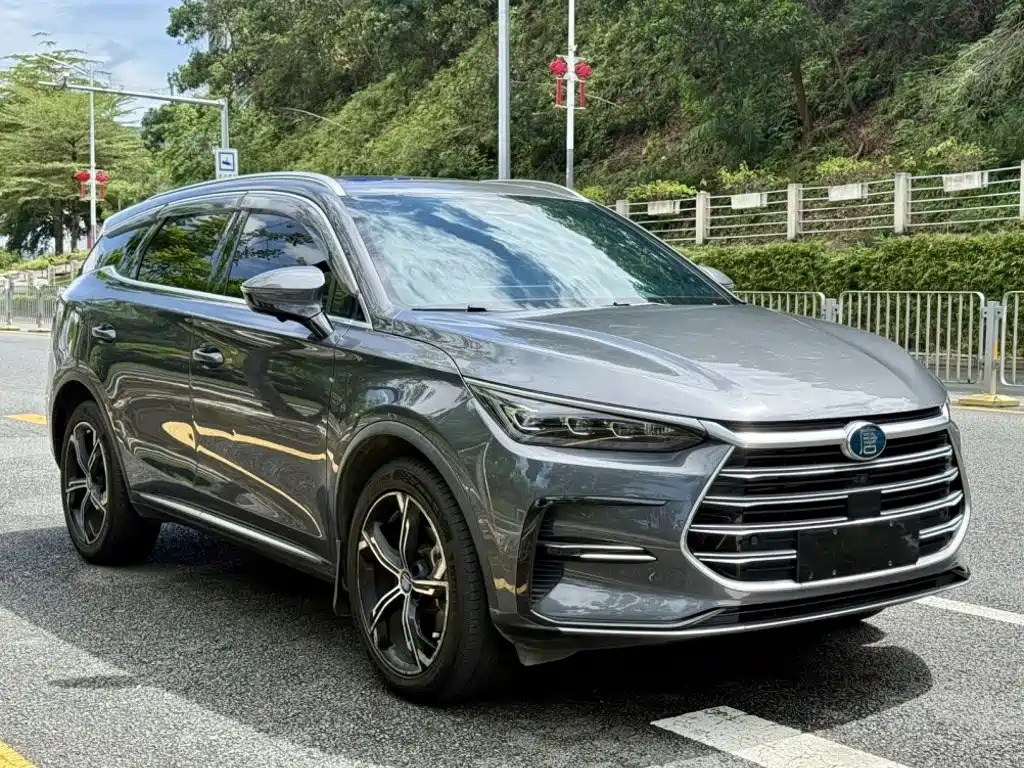 BYD Tang New Energy - фото 2