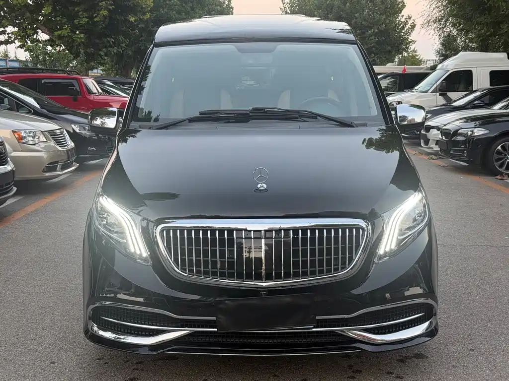 Mercedes-Benz Viano — миниатюра 2