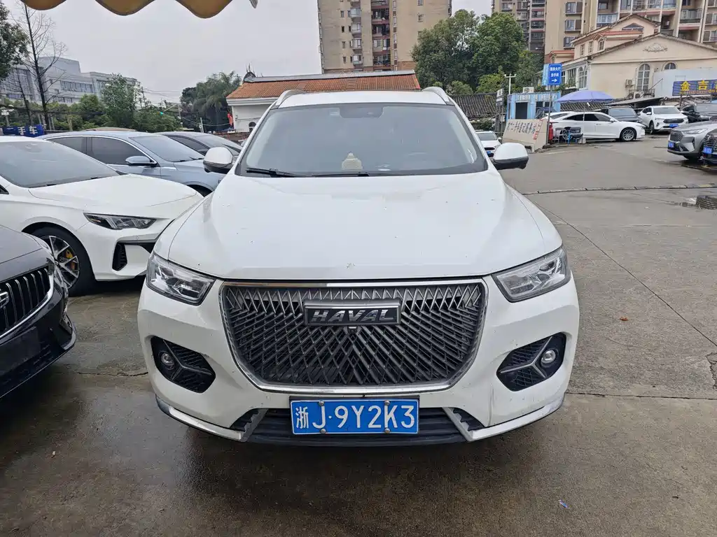 Haval H6 — миниатюра 2