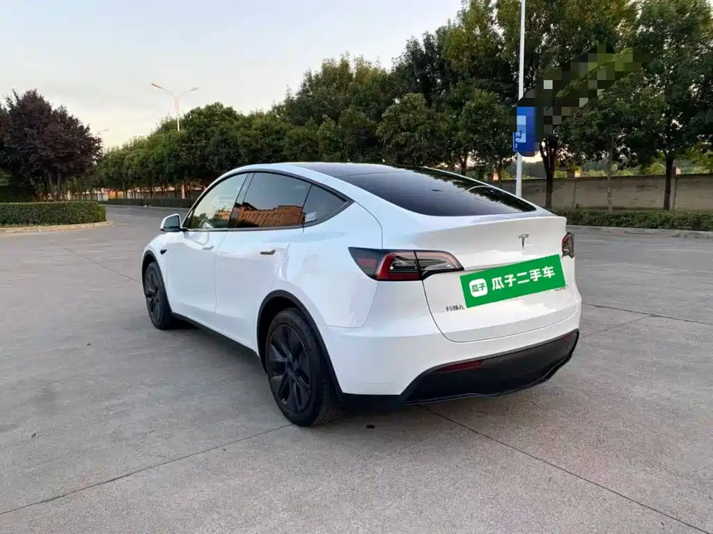 Tesla Model Y — миниатюра 5