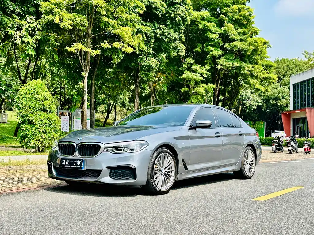 BMW 5 Series (Import) — миниатюра 2