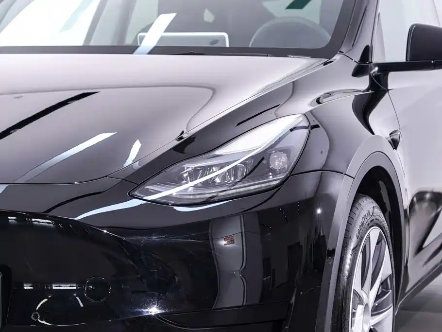 Tesla Model Y — миниатюра 10