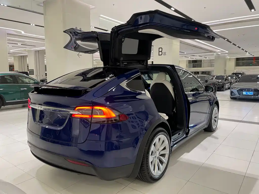 Tesla Model X — миниатюра 3