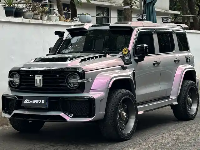 2022 TANK 300