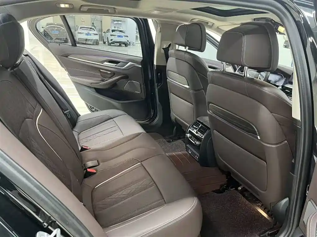 BMW 5 Series 5 2021 530Li Premium Luxury