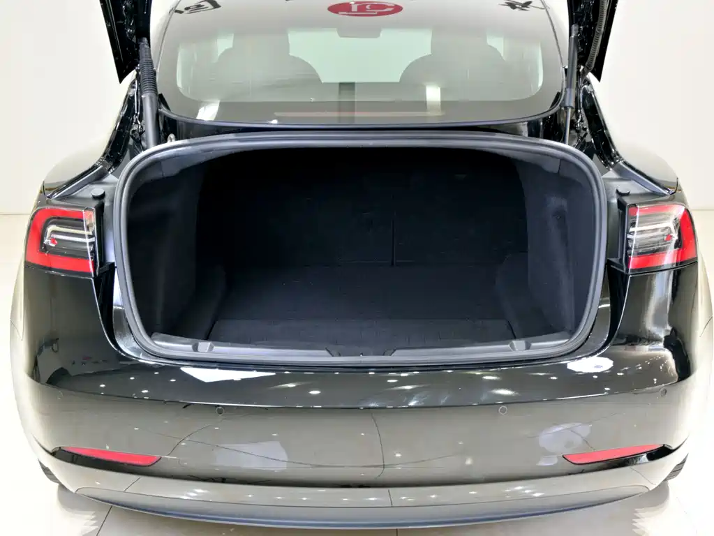 Tesla Model 3 — миниатюра 18